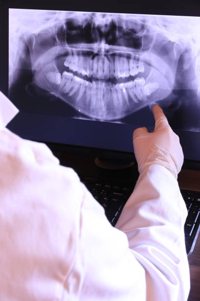 Best Emergency X-Rays and Diagnostics in Bonneauville, PA